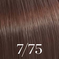 Color Touch Deep Browns ( /73, /75)