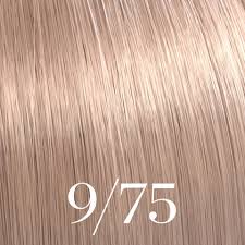 Color Touch Deep Browns ( /73, /75)