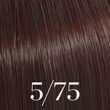 Color Touch Deep Browns ( /73, /75)