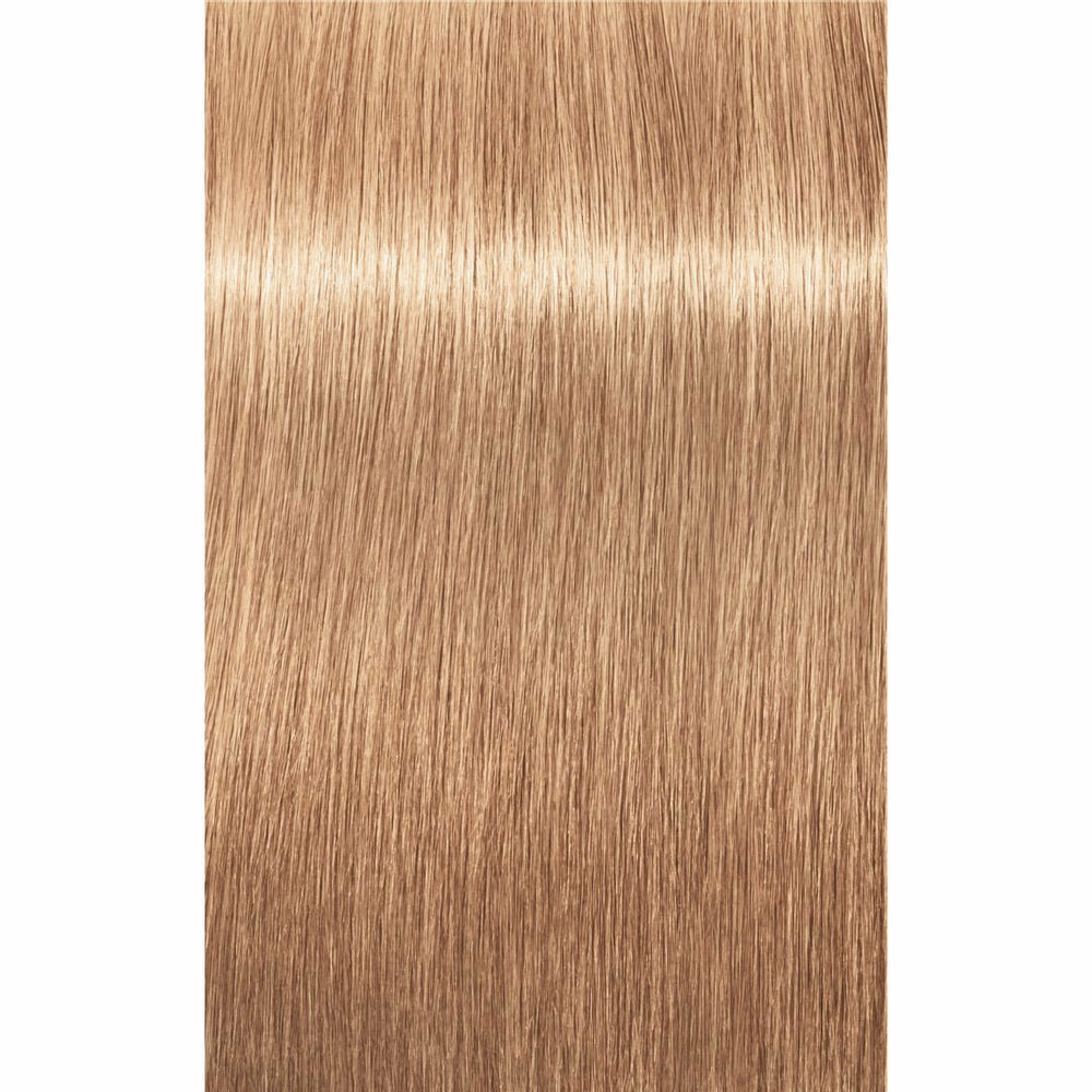 IGORA ROYAL Disheveled Nude Tones