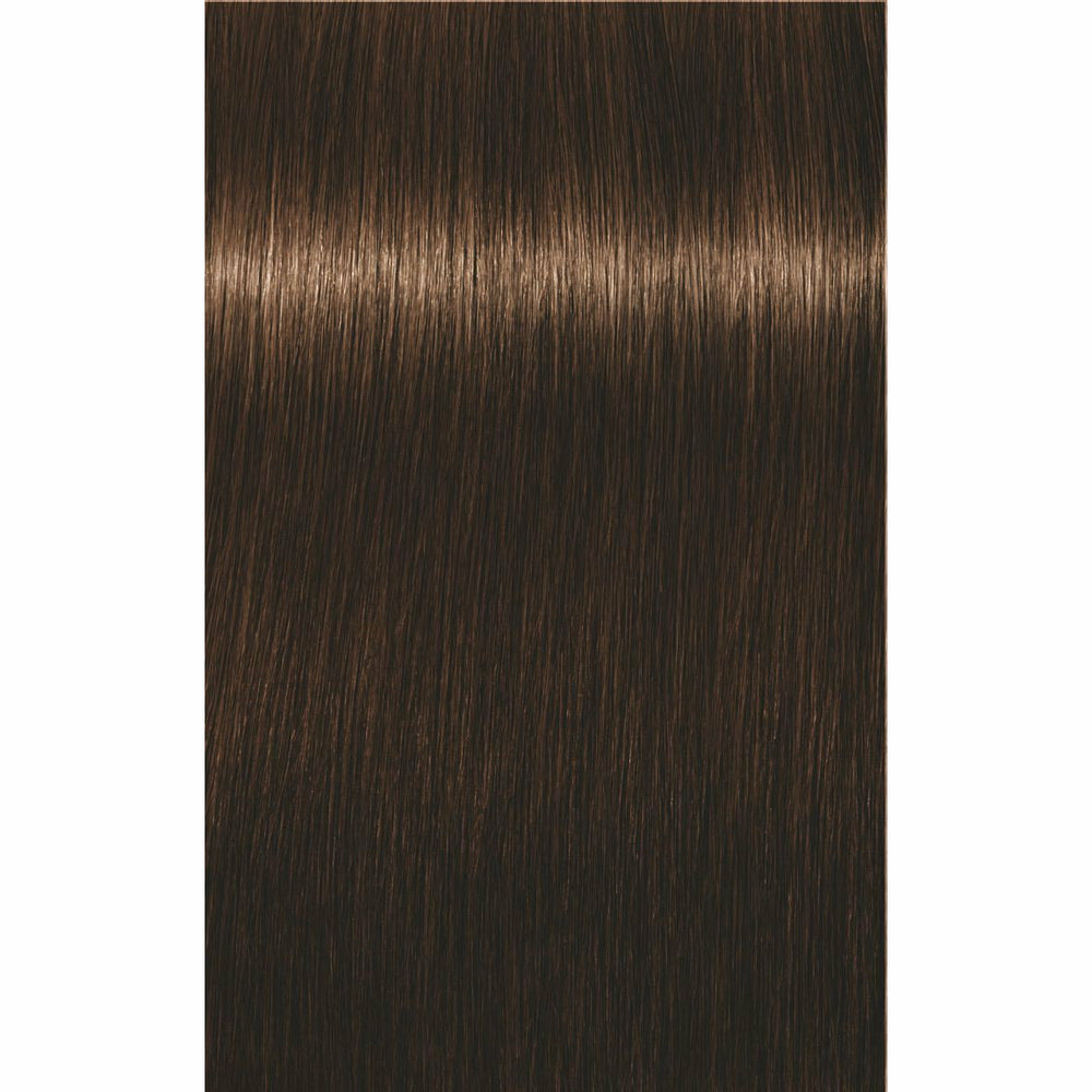 IGORA ROYAL Golds (-4/-5)