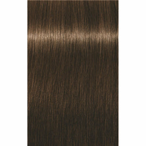 IGORA ROYAL Golds (-4/-5)