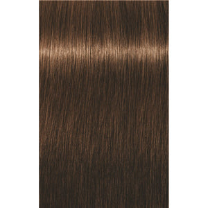 IGORA VIBRANCE Golds