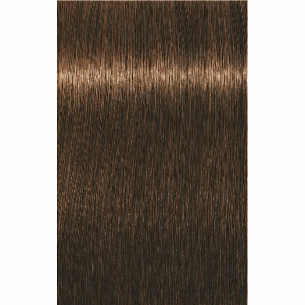 IGORA ROYAL Golds (-4/-5)