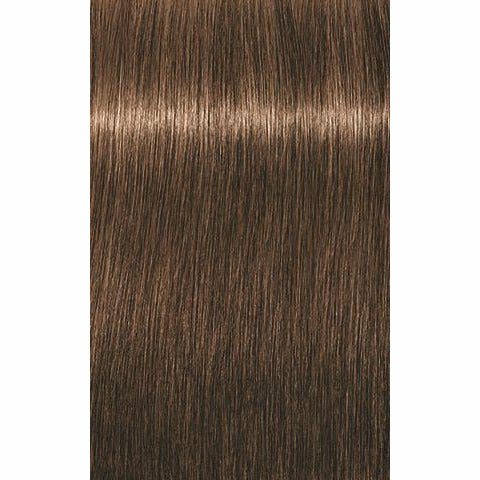 IGORA ROYAL Absolutes Age Blend