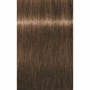 IGORA ROYAL Absolutes Age Blend
