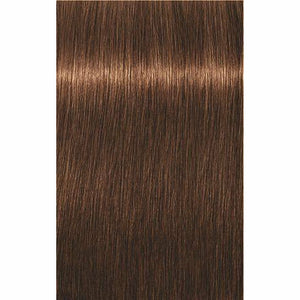 IGORA ROYAL Absolutes Age Blend