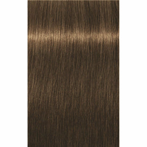 IGORA ROYAL Golds (-4/-5)