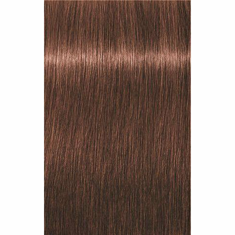 IGORA ROYAL Absolutes Age Blend