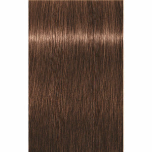 IGORA ROYAL Golds (-4/-5)
