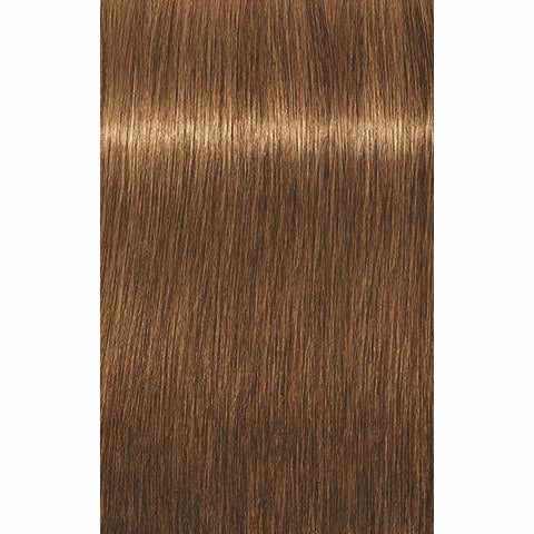 IGORA ROYAL Absolutes Age Blend