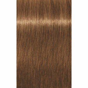 IGORA ROYAL Absolutes Age Blend