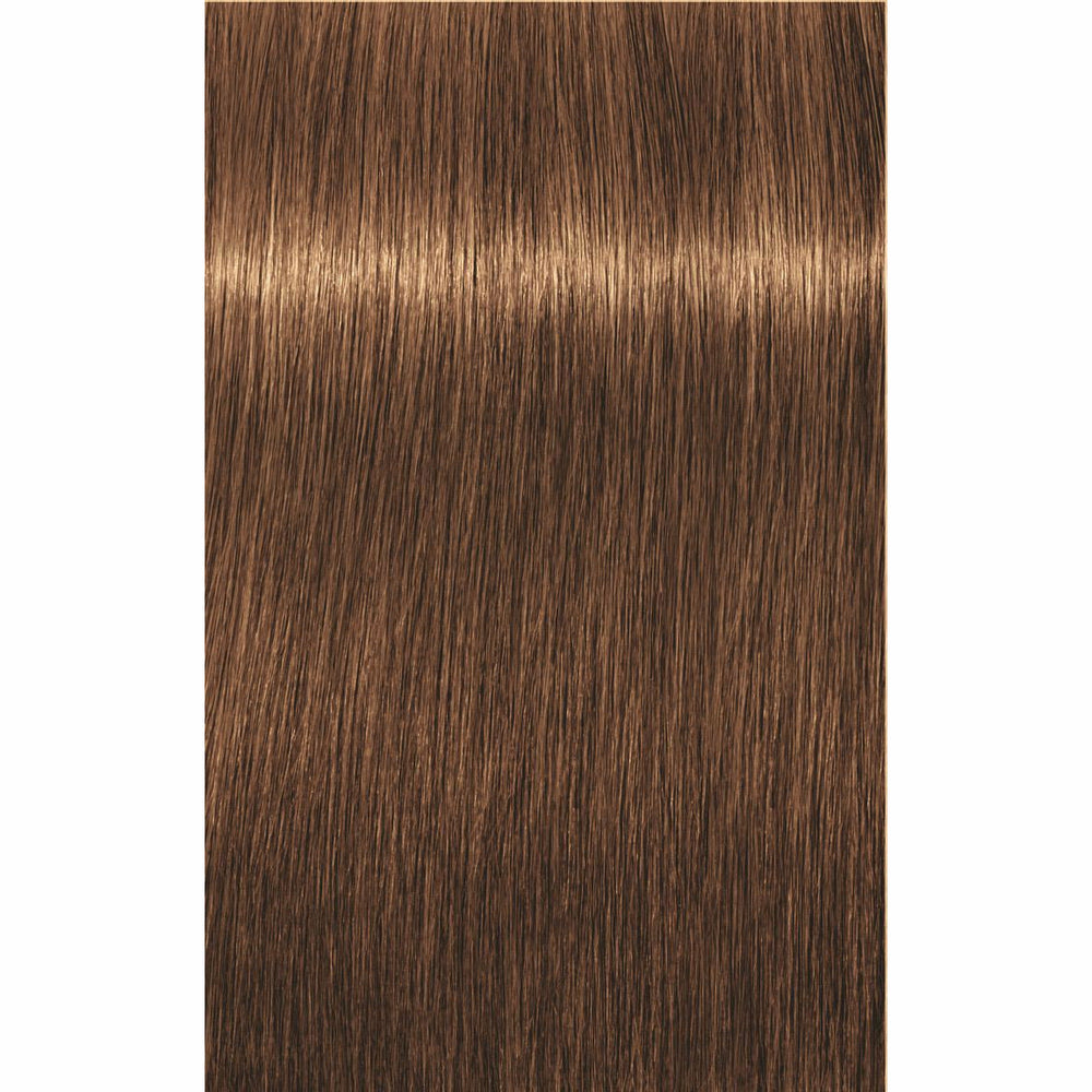 IGORA ROYAL Golds (-4/-5)