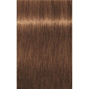 IGORA VIBRANCE Golds