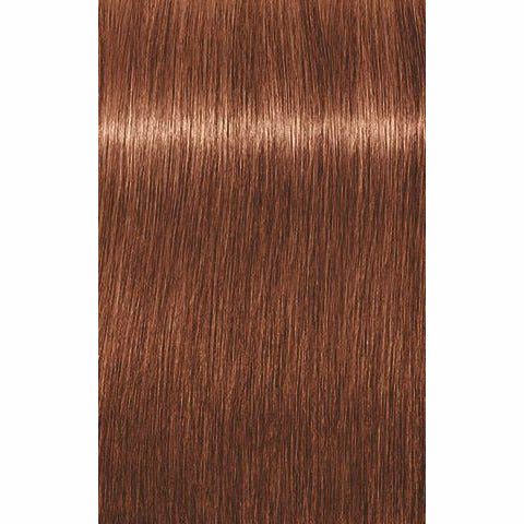IGORA ROYAL Absolutes Age Blend