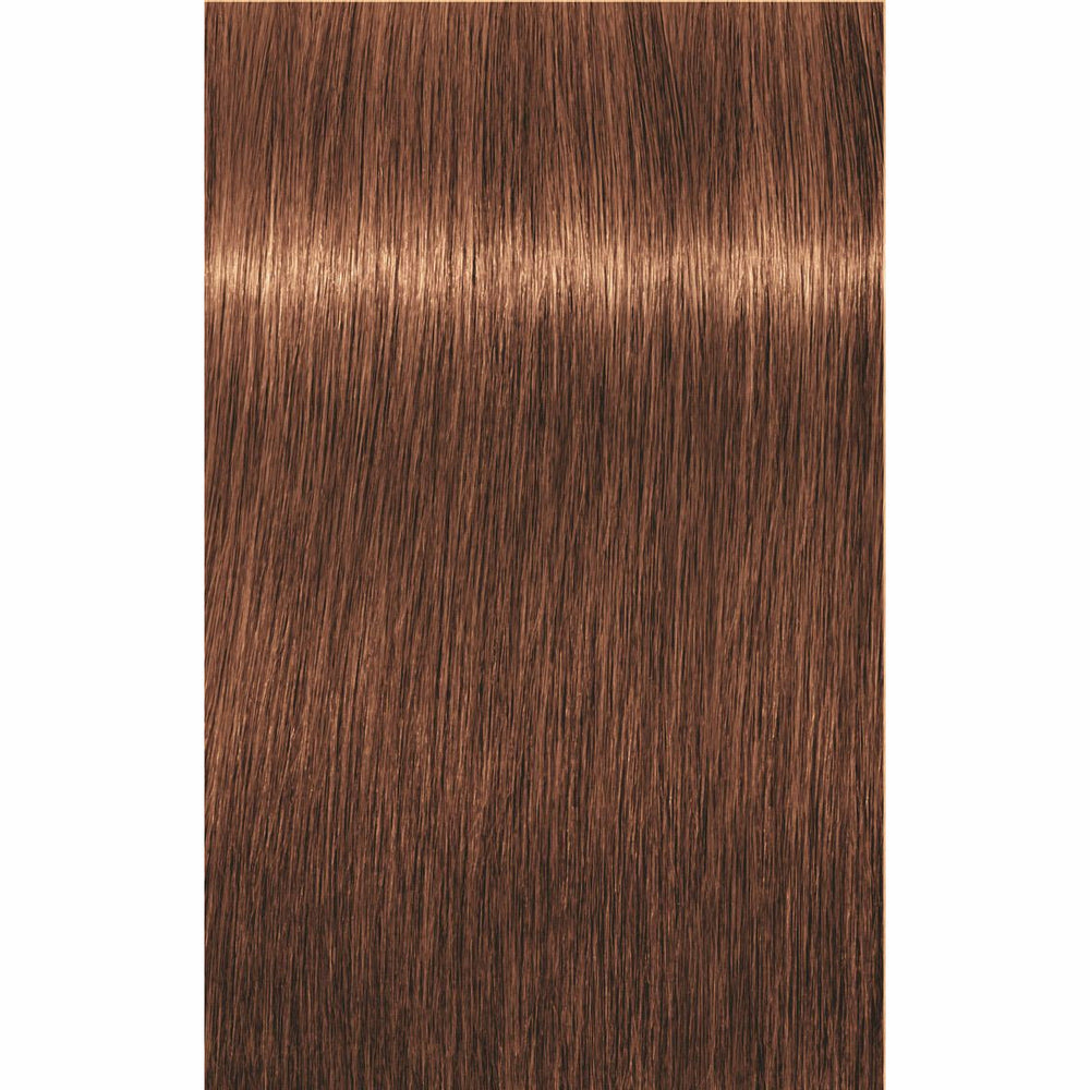 IGORA ROYAL Golds (-4/-5)