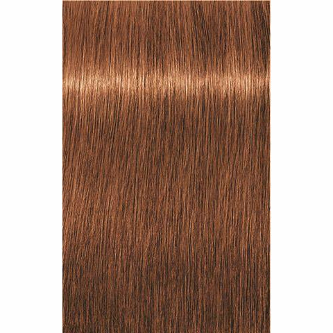 IGORA ROYAL Absolutes Age Blend