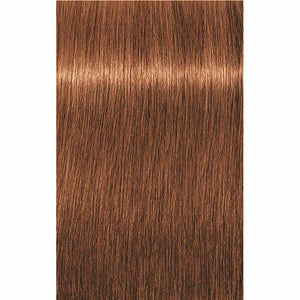 IGORA ROYAL Absolutes Age Blend