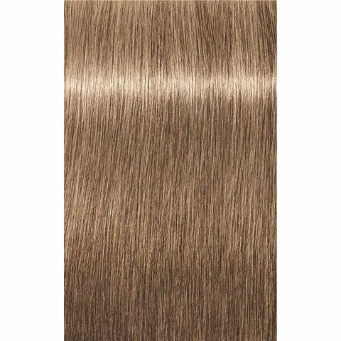 IGORA ROYAL Absolutes Age Blend