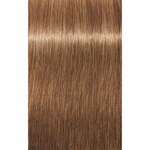 IGORA ROYAL Absolutes Age Blend
