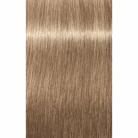 IGORA ROYAL Absolutes Age Blend