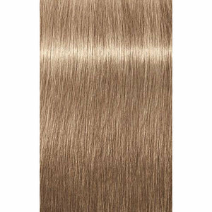 IGORA ROYAL Absolutes Age Blend