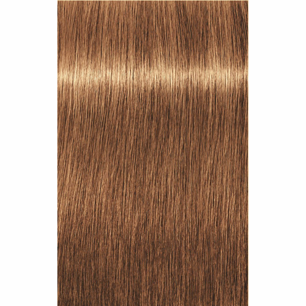 IGORA ROYAL Disheveled Nude Tones