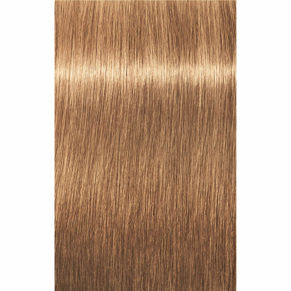 IGORA ROYAL Disheveled Nude Tones