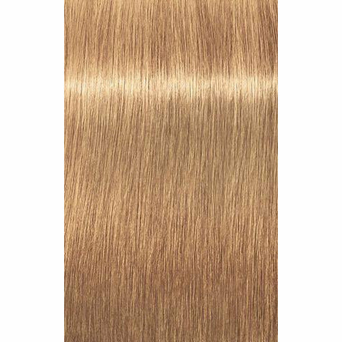 IGORA ROYAL Absolutes Age Blend
