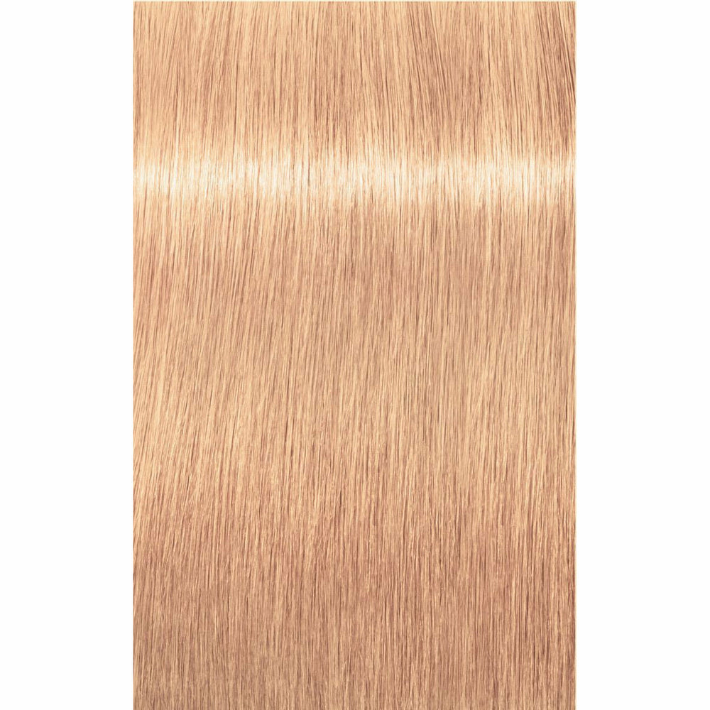 IGORA ROYAL Pastels (9.5-)