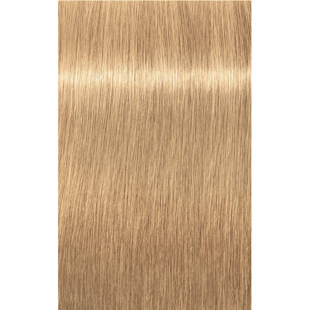 IGORA ROYAL Pastels (9.5-)