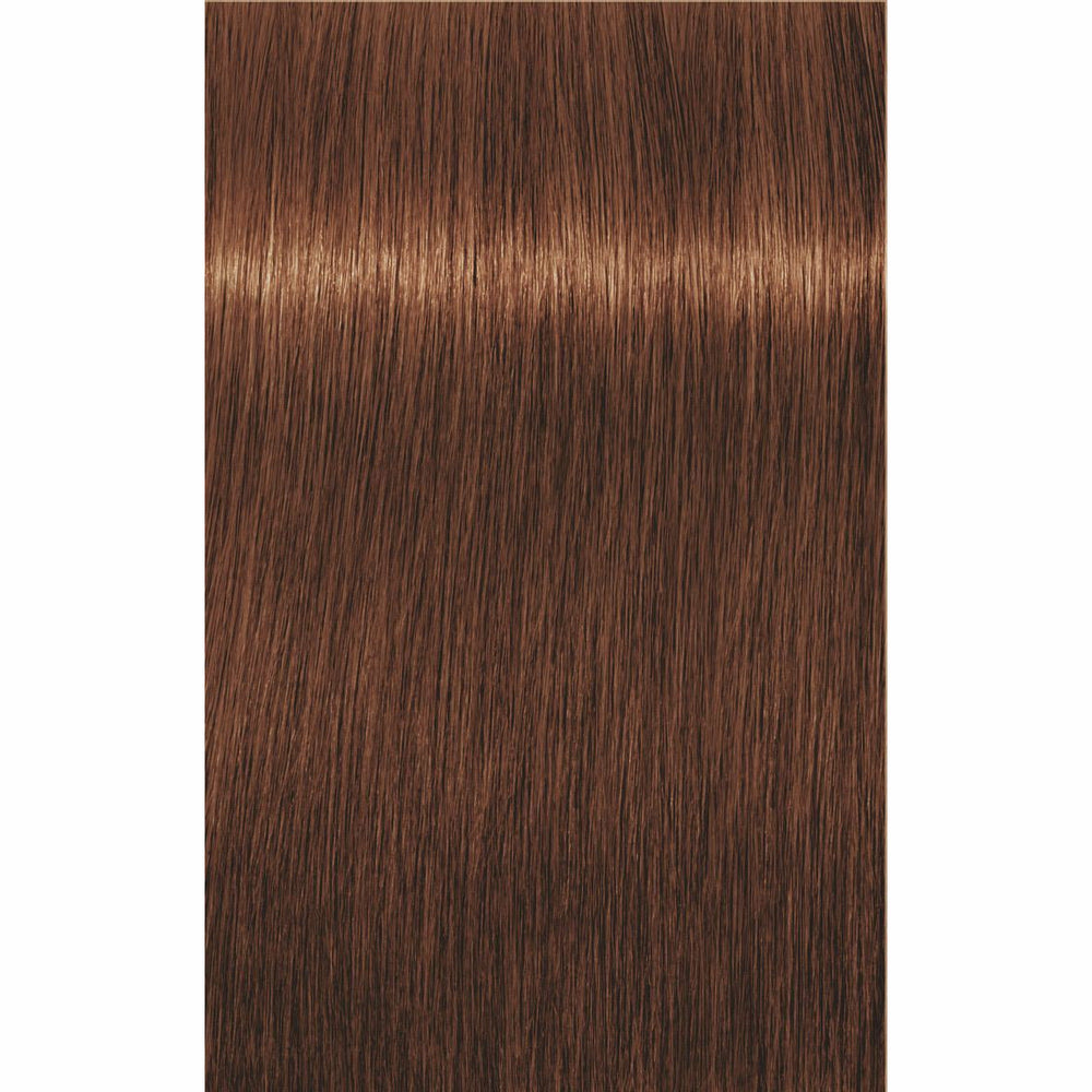 IGORA ROYAL Opulescence