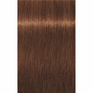 IGORA ROYAL Opulescence