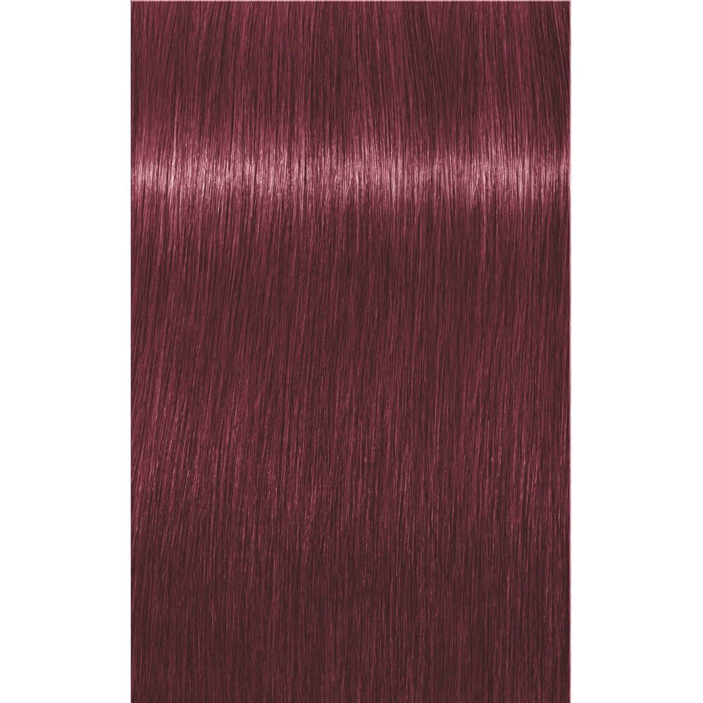IGORA ROYAL Dusted Rouge