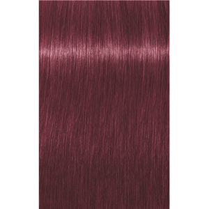 IGORA ROYAL Dusted Rouge