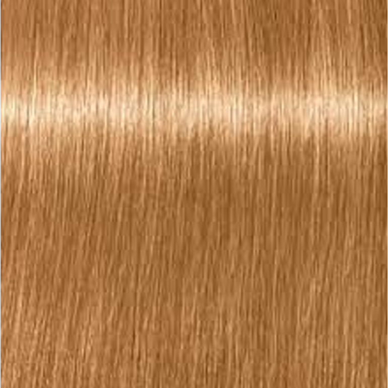 IGORA ROYAL Opulescence