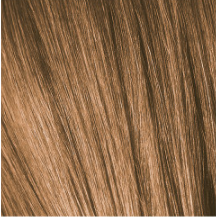IGORA COLOR10 - Fashion
