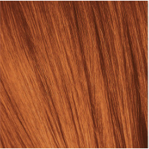 IGORA COLOR10 - Fashion