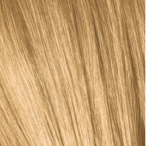 IGORA COLOR10 - Fashion