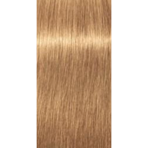 Igora Expert Mousse
