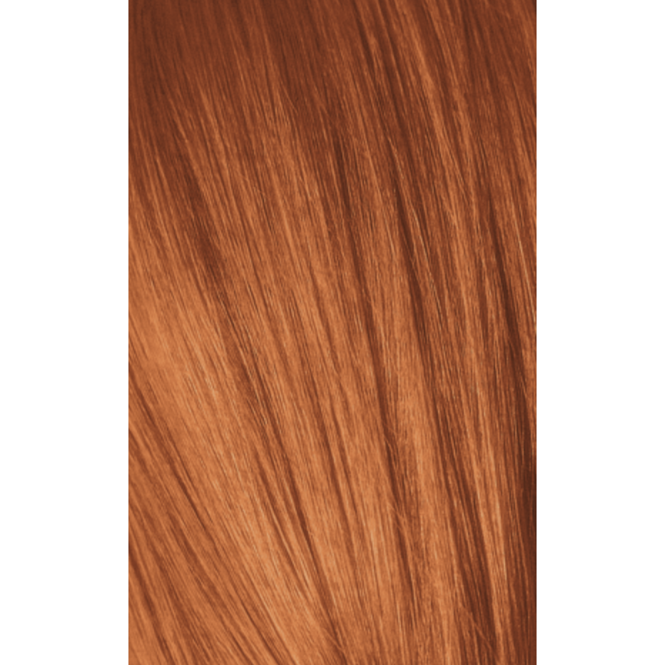 Igora Expert Mousse