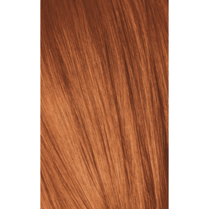 Igora Expert Mousse