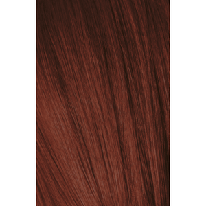 Igora Expert Mousse