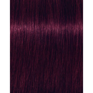 Igora Expert Mousse