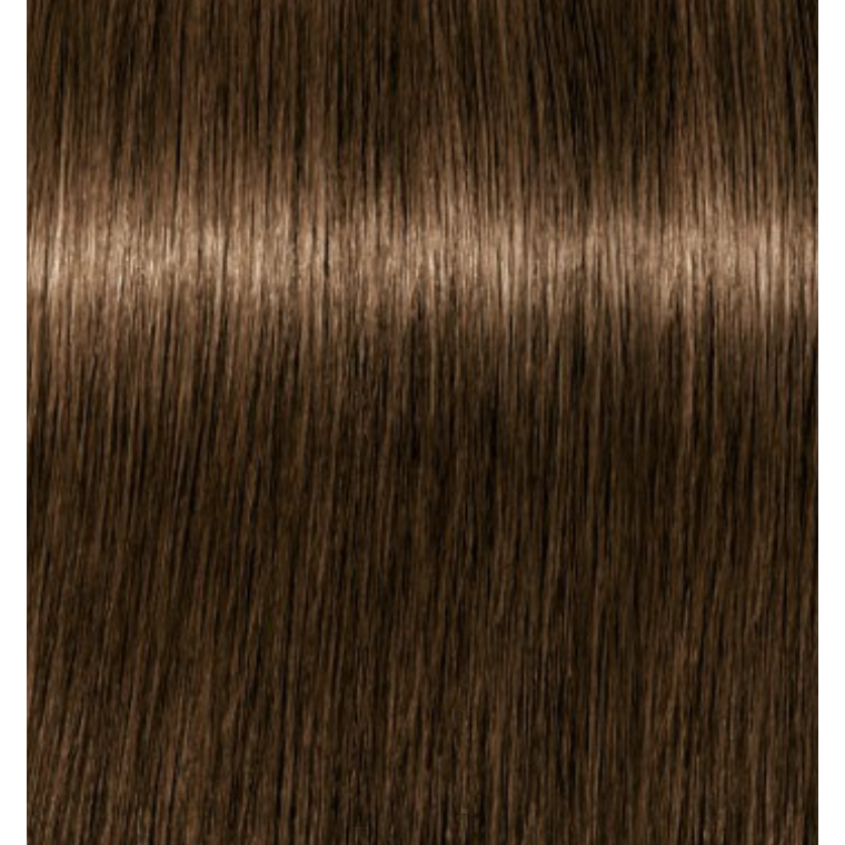 Igora Expert Mousse