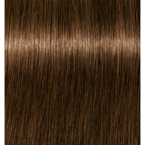 Igora Expert Mousse