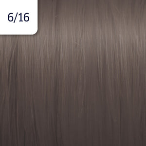 Illumina Color (Cool)