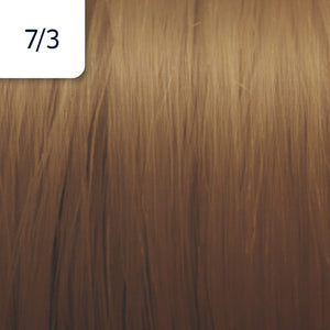 Illumina Color (Warm)