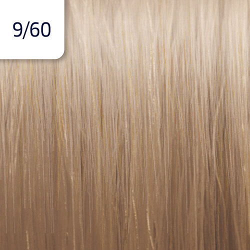 Illumina Color (Cool)