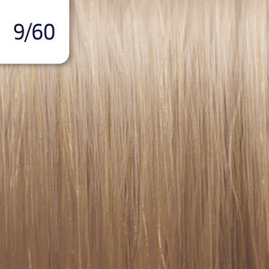 Illumina Color (Cool)